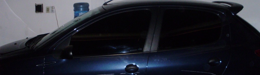 Polarizado para auto